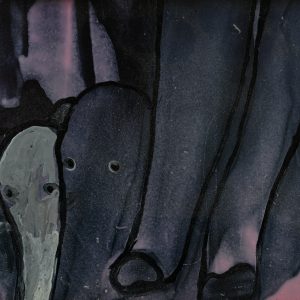 The Elephant